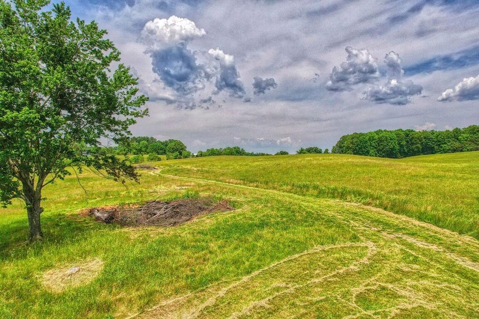 Photo #6: 1120 Old Boones Creek Road