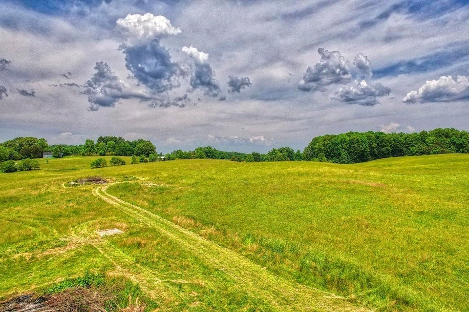 Photo #7: 1120 Old Boones Creek Road