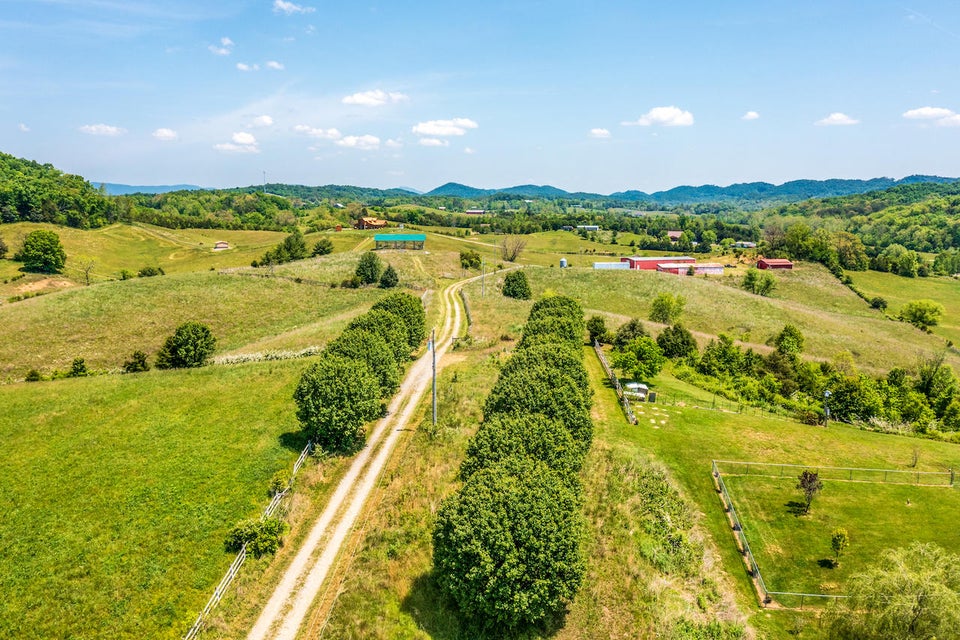 Photo #3: Lot 7 Roaring Fork Road