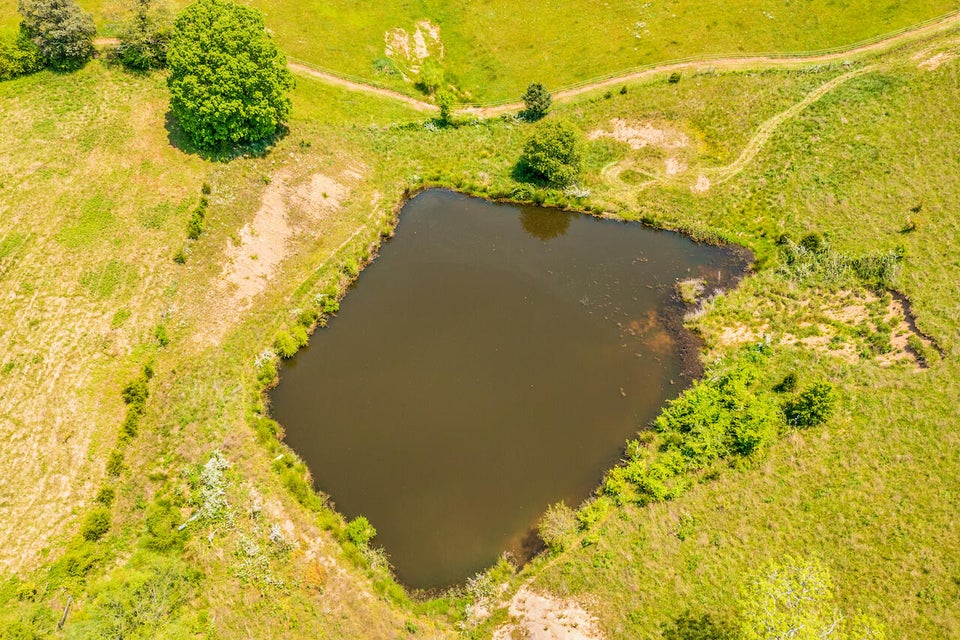 Photo #7: Lot 7 Roaring Fork Road