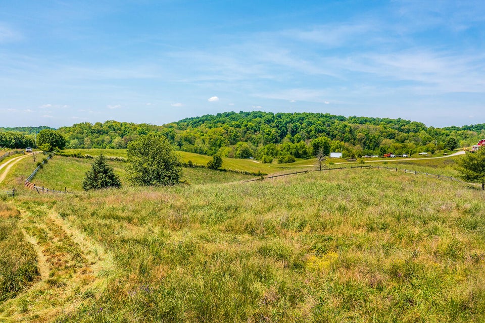 Photo #12: Lot 7 Roaring Fork Road