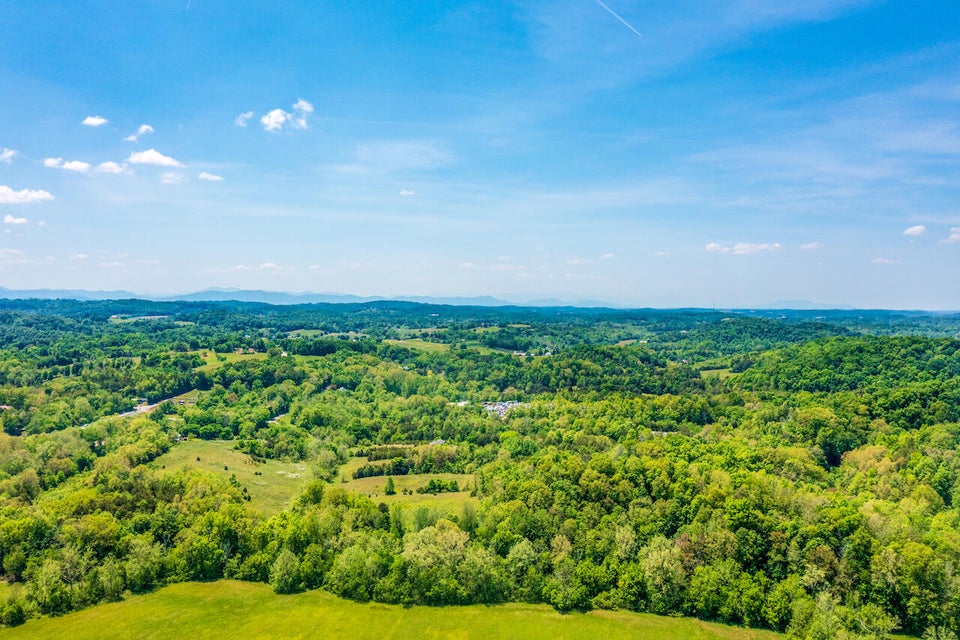 Photo #22: Lot 7 Roaring Fork Road