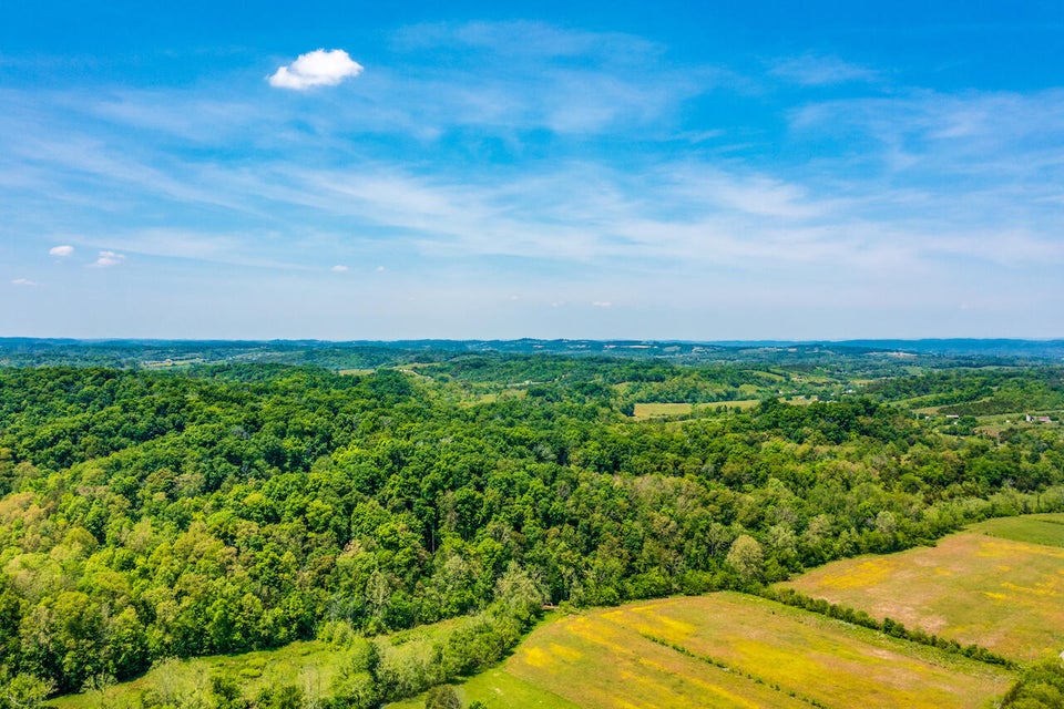 Photo #23: Lot 7 Roaring Fork Road