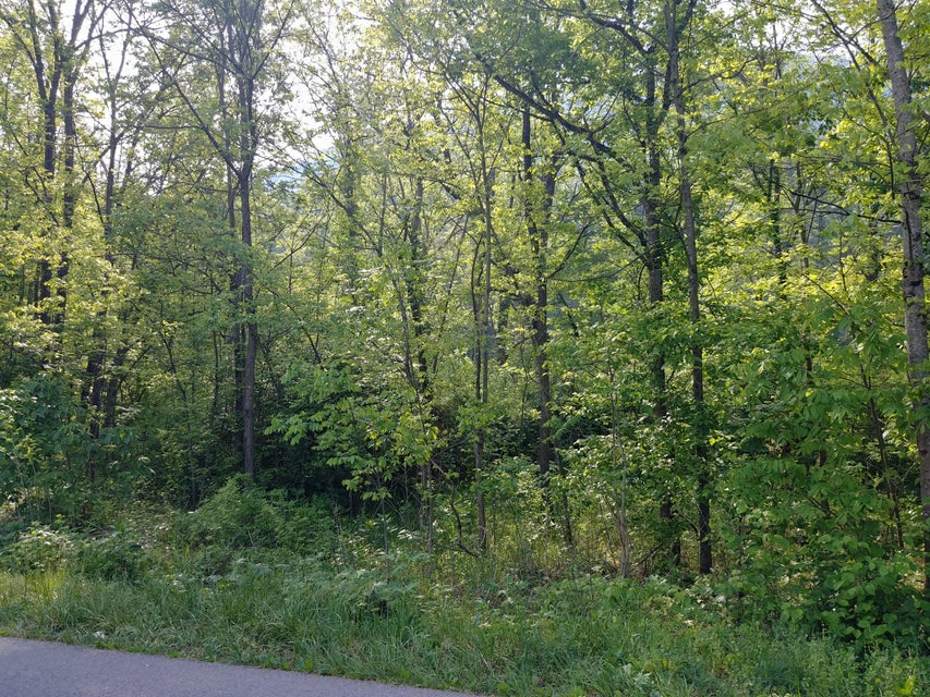 Photo #1: Tbd Irondale Road