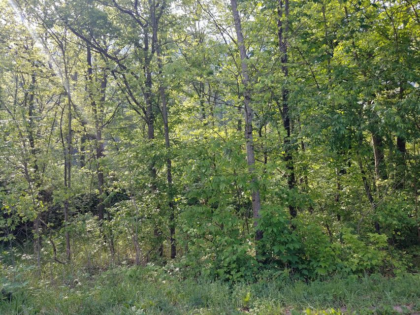 Photo #2: Tbd Irondale Road