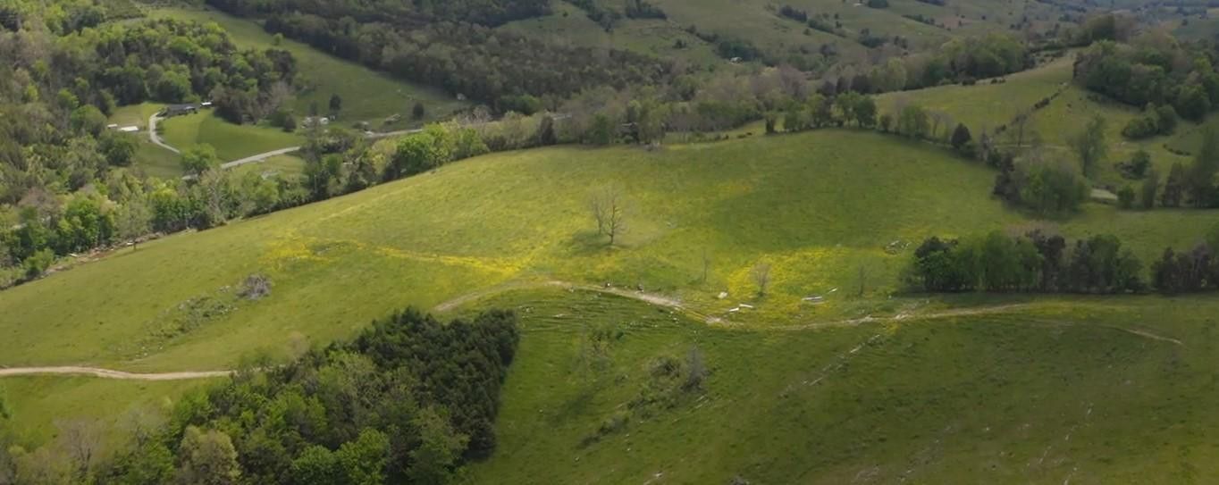 Photo #4: 00 Mulberry Gap