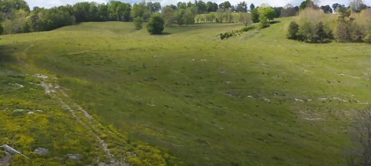 Photo #5: 00 Mulberry Gap