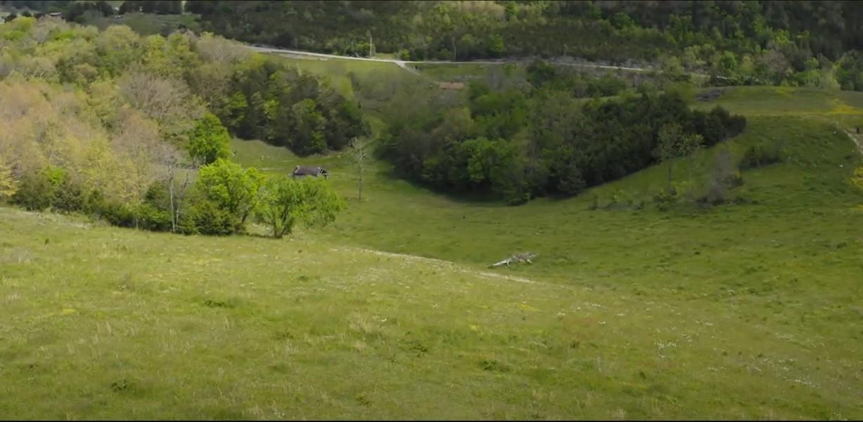 Photo #6: 00 Mulberry Gap
