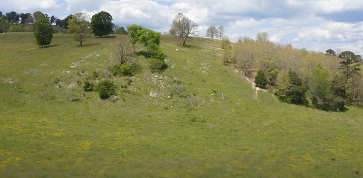 Photo #9: 00 Mulberry Gap