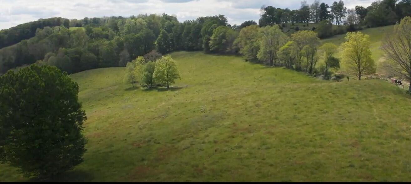 Photo #11: 00 Mulberry Gap