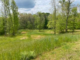 Photo #1: 168 & 175 Coby Lane