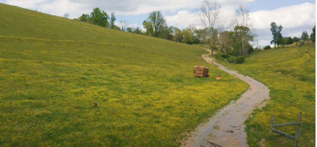 Photo #4: 00 Greer Circle