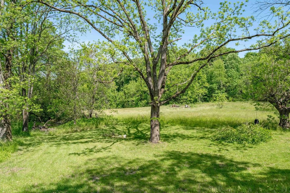 Photo #26: 342 Dry Creek Road