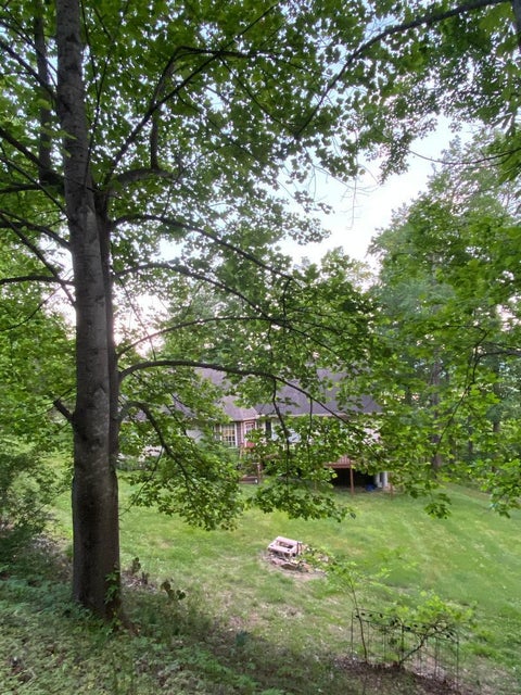 Photo #17: 111 Sarvis Drive