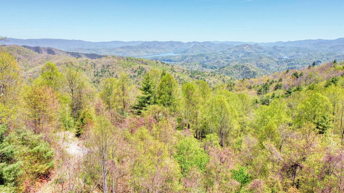 Photo #5: 1209 Mays Ridge Road
