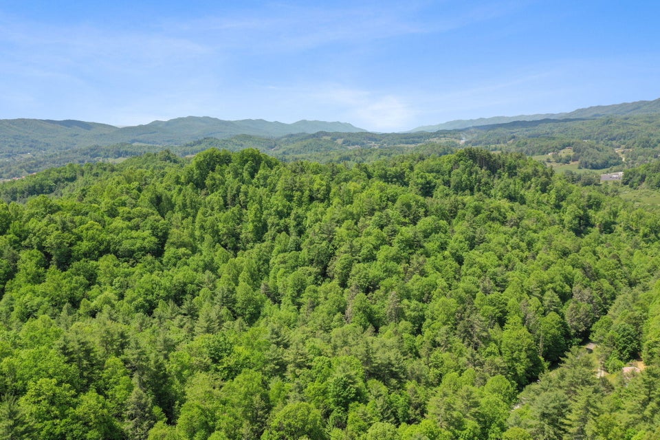 Photo #1: Tbd Tobacco Road