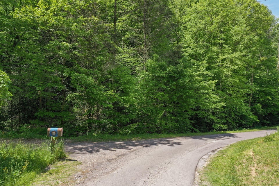 Photo #6: Tbd Tobacco Road