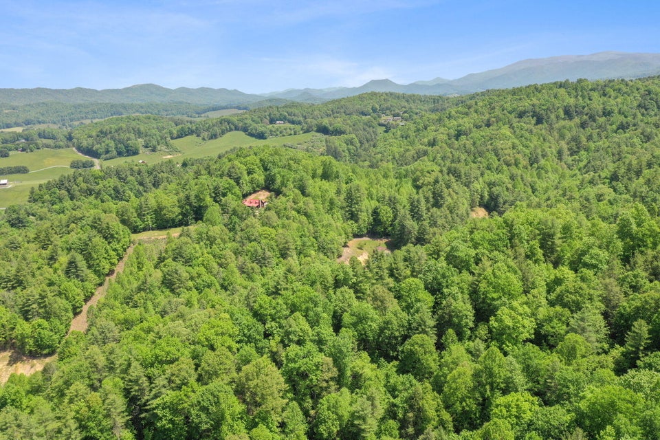 Photo #4: Tbd Tobacco Road