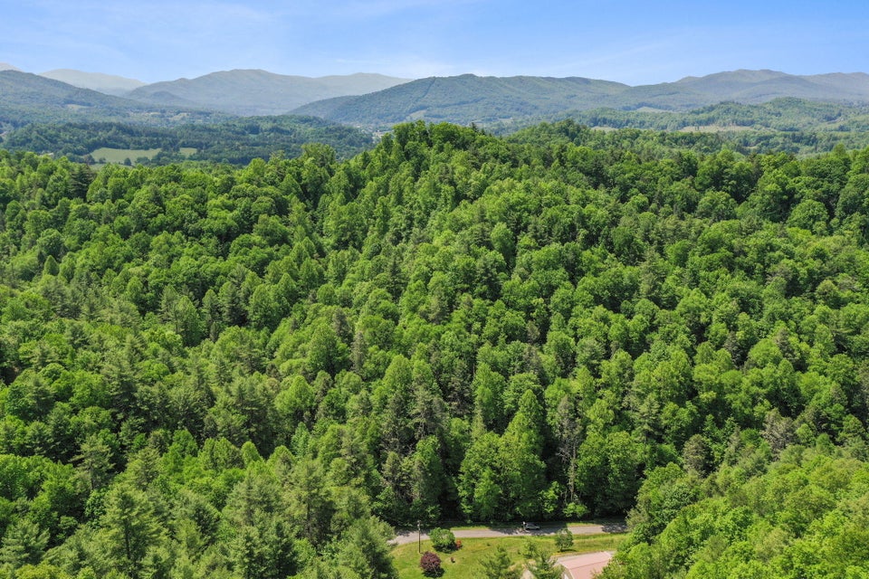 Photo #7: Tbd Tobacco Road