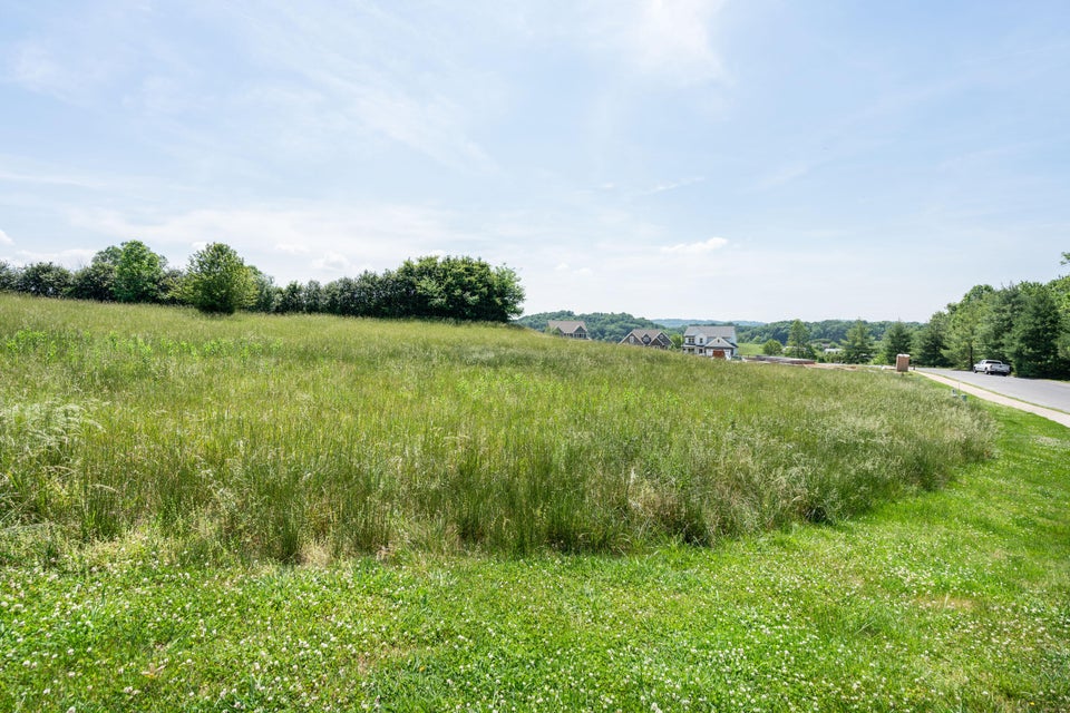 Photo #8: 279 Old Island Trail