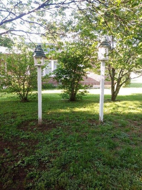 Photo #11: 204 Shady Street