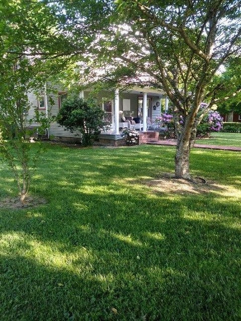 Photo #7: 204 Shady Street