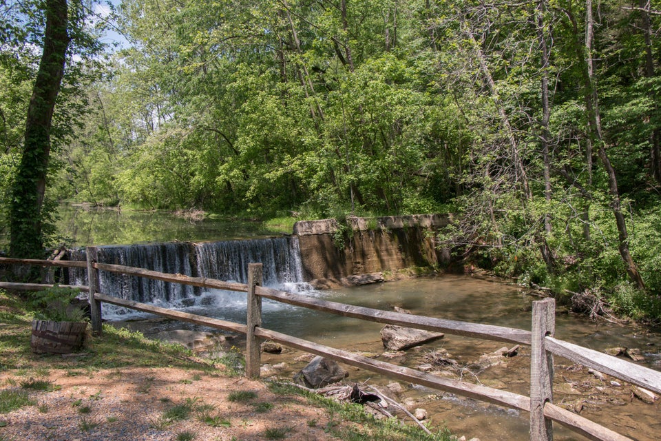 Photo #3: 21405 Parks Mill Road