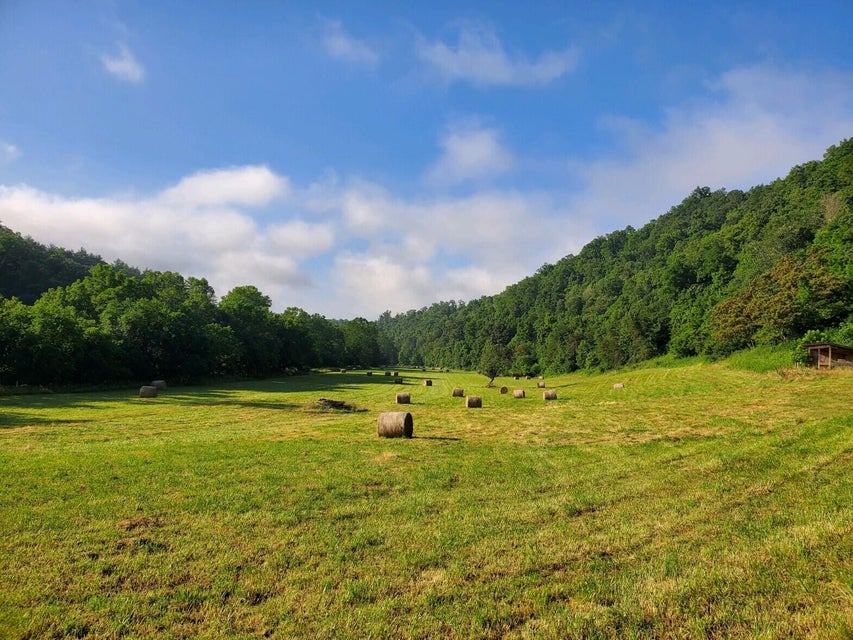Photo #34: 29035 Miller Farm Lane