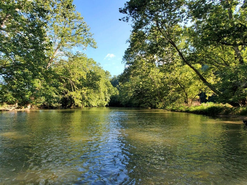 Photo #3: 29035 Miller Farm Lane