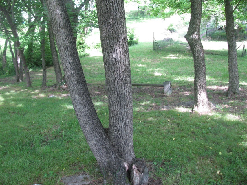 Photo #4: 608 Forest Street