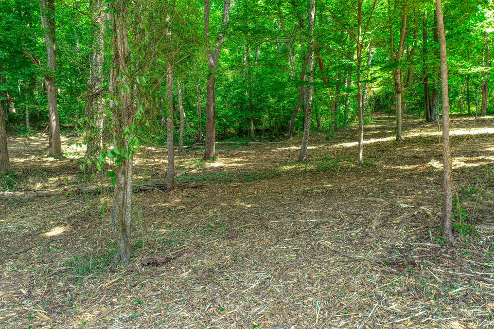 Photo #3: Tbd Woodland Street