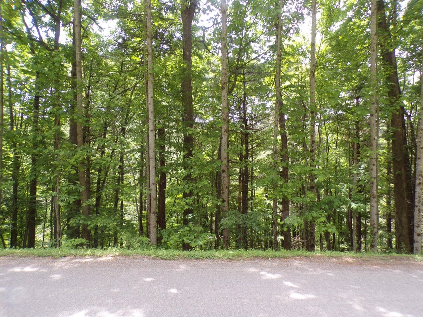 Photo #1: Tbd Laurelwood Lane