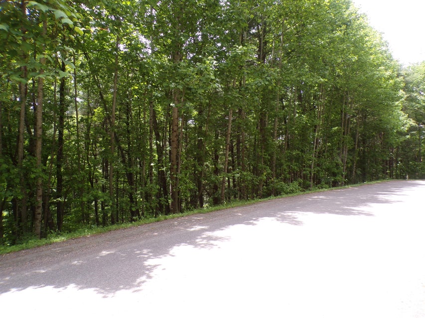 Photo #2: Tbd Laurelwood Lane
