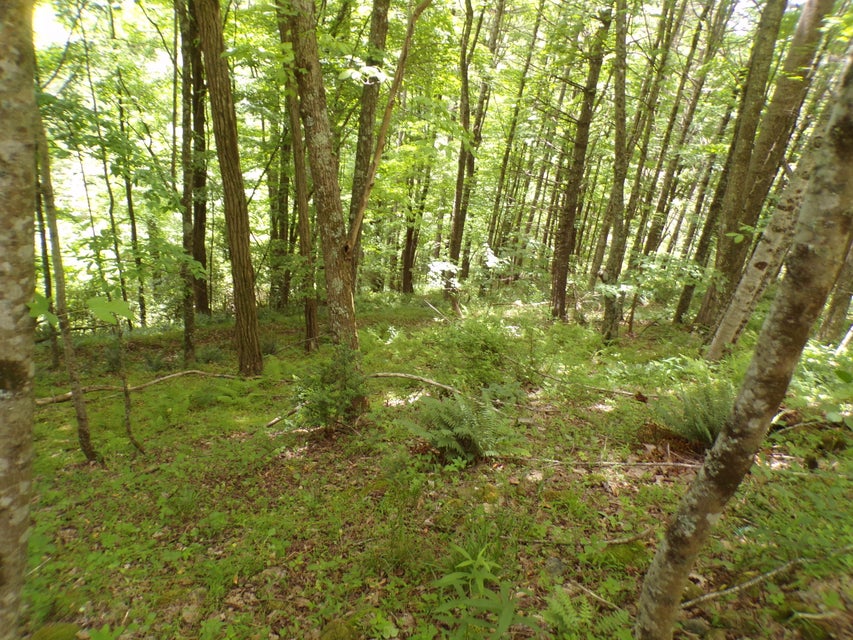 Photo #3: Tbd Laurelwood Lane