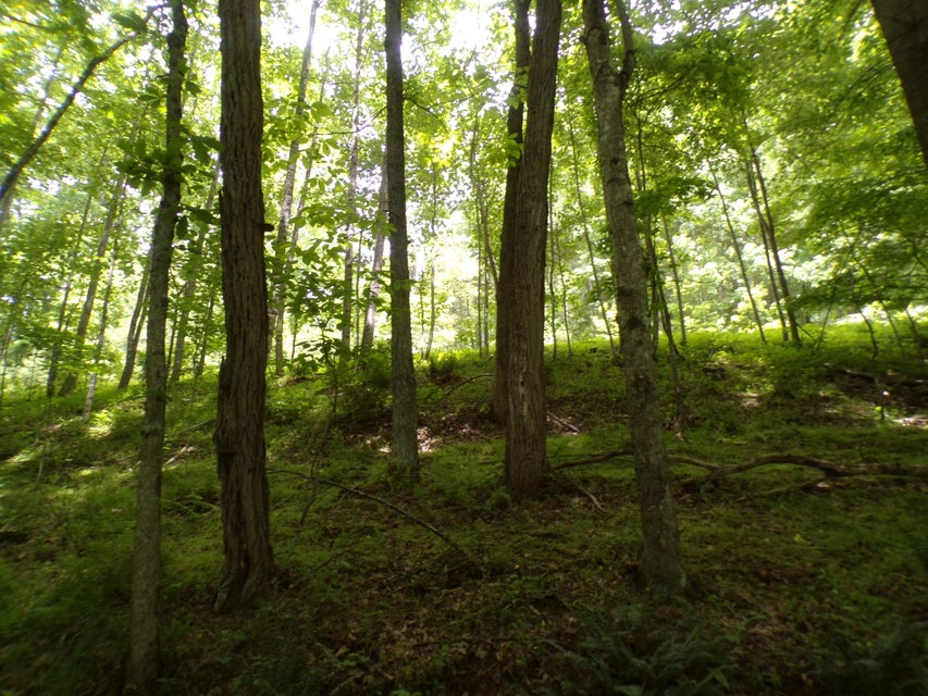 Photo #5: Tbd Laurelwood Lane