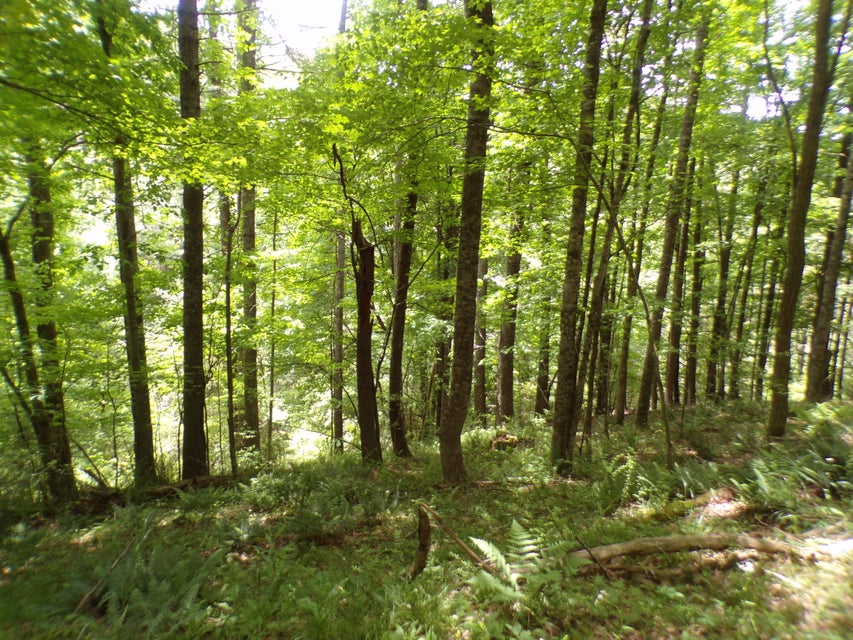 Photo #7: Tbd Laurelwood Lane