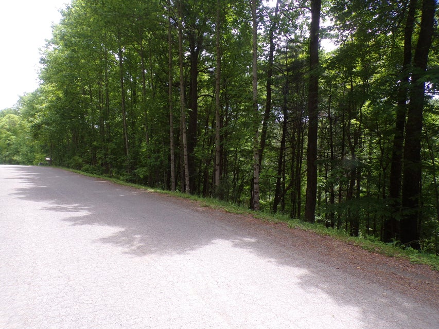 Photo #8: Tbd Laurelwood Lane