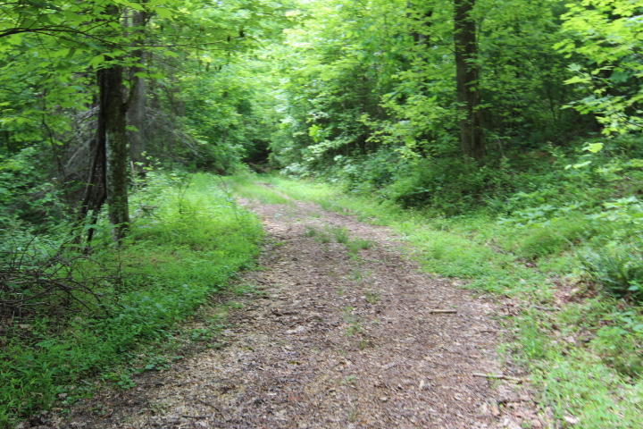 Photo #29: 180 Bear Paw Lane
