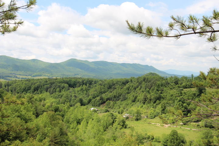 Photo #2: 180 Bear Paw Lane