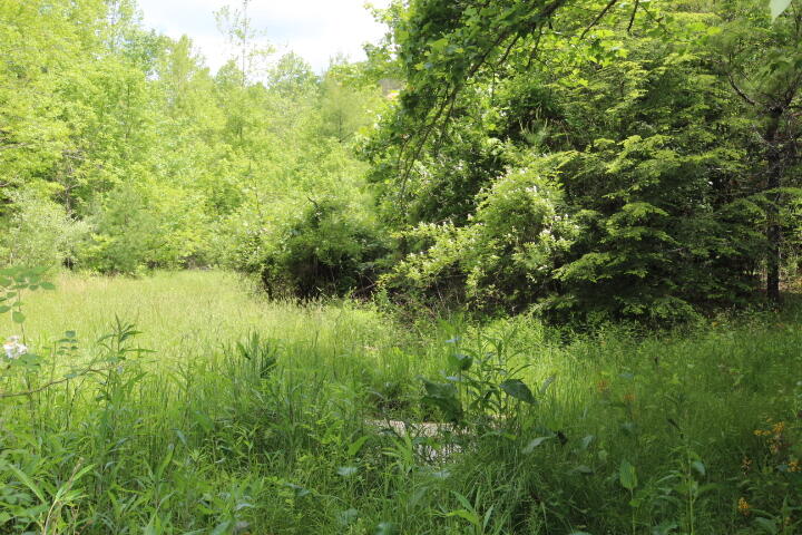 Photo #31: 180 Bear Paw Lane