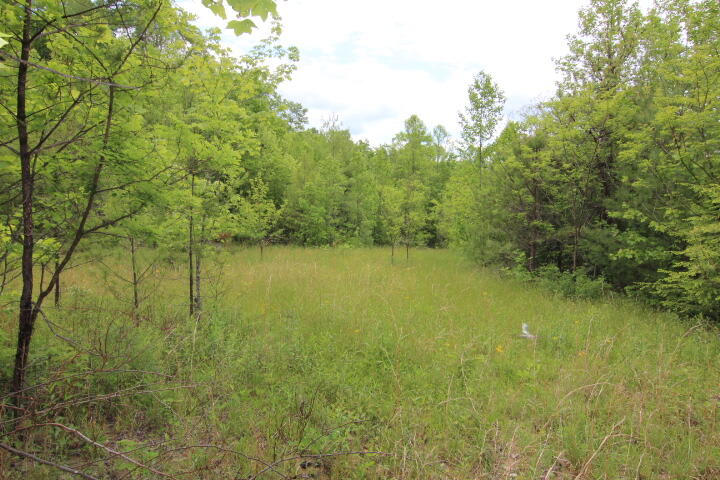 Photo #32: 180 Bear Paw Lane