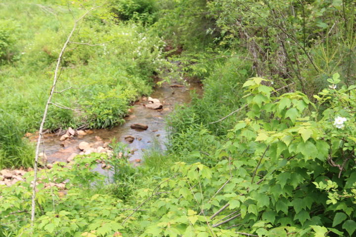 Photo #27: 180 Bear Paw Lane