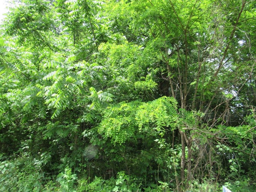 Photo #2: 0 Hillman Highway
