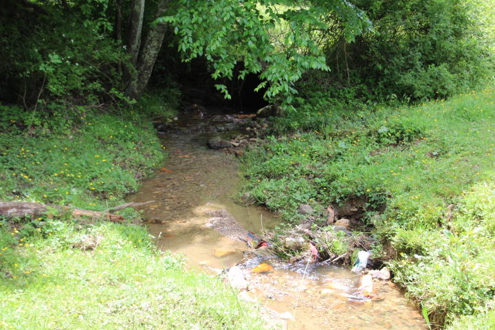 Photo #9: 000 Michael Road