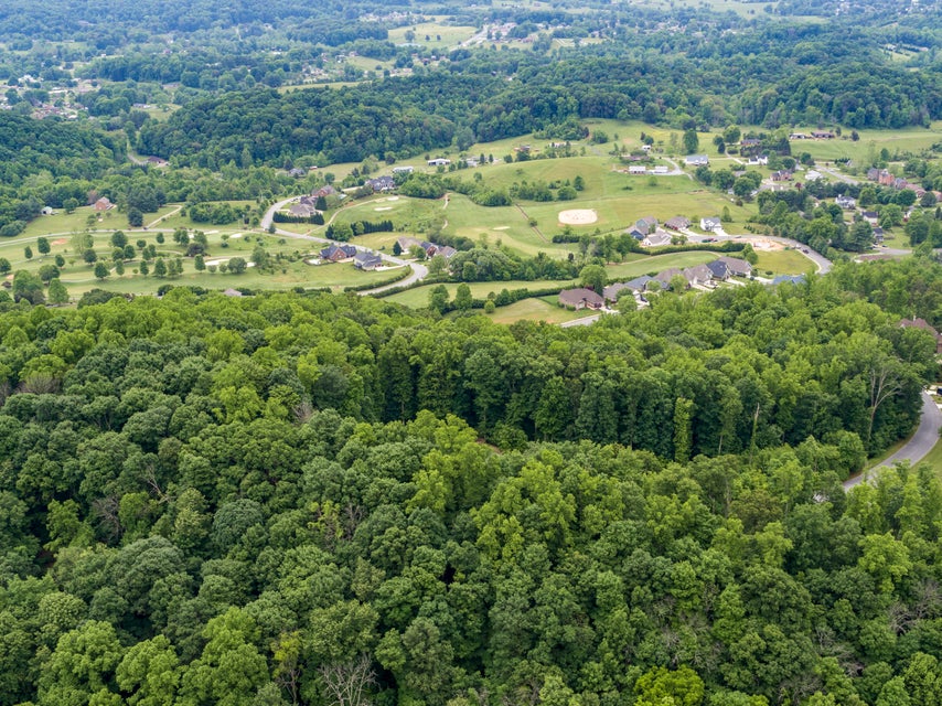 Photo #4: 1045 Tree Top Pvt Drive