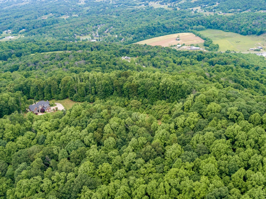 Photo #8: 1045 Tree Top Pvt Drive