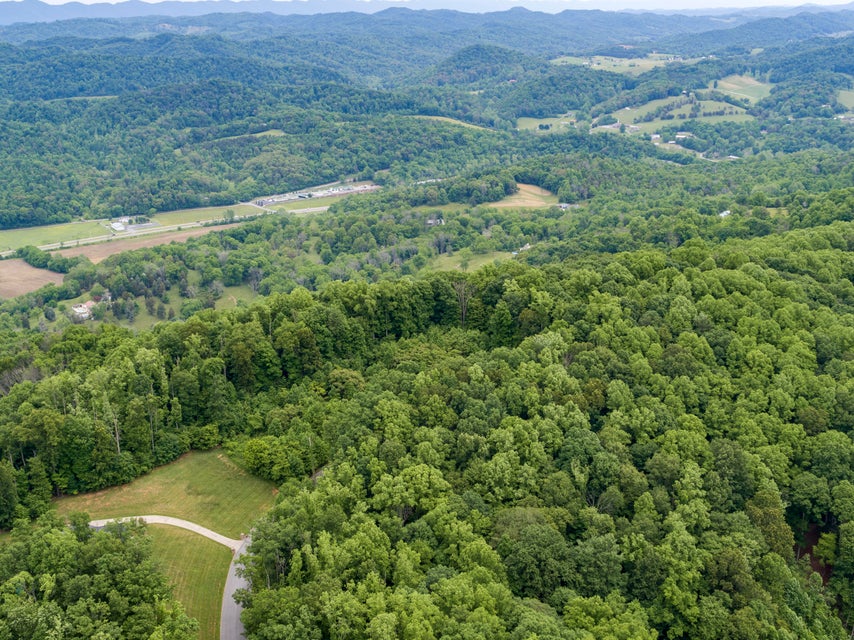 Photo #10: 1045 Tree Top Pvt Drive