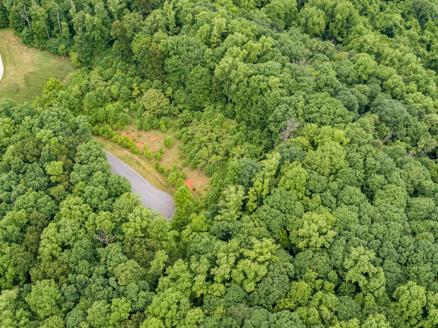 Photo #21: 1045 Tree Top Pvt Drive