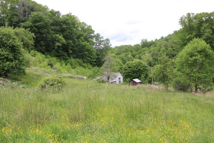 Photo #4: 912 Highway 67