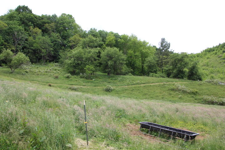 Photo #8: 912 Highway 67